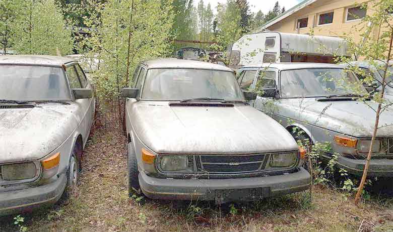 Classic Saab cars