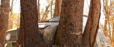 Abandoned Saab 96, a car swallowed by the forest